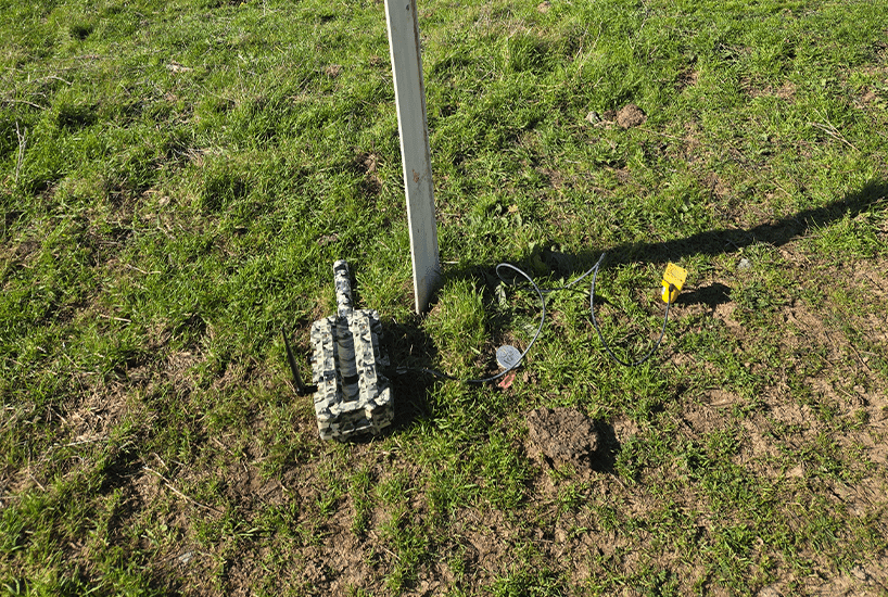 apex in the field